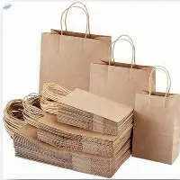 Paper Carry Bags