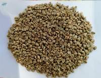 Djimmah Coffee - Ethiopia