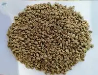 Djimmah Coffee - Ethiopia