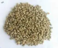 Yirgacheffe Coffee - Ethiopia