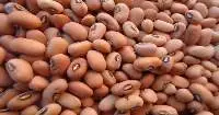 Pink Cowpea