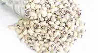 White Cowpea