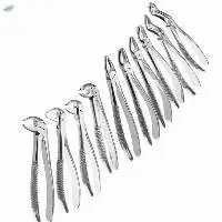 Dental Instruments ( Tooth Extraction Forceps)