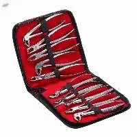 Dental Instruments ( Tooth Extraction Forceps)