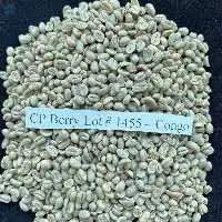 Green Coffee Beans