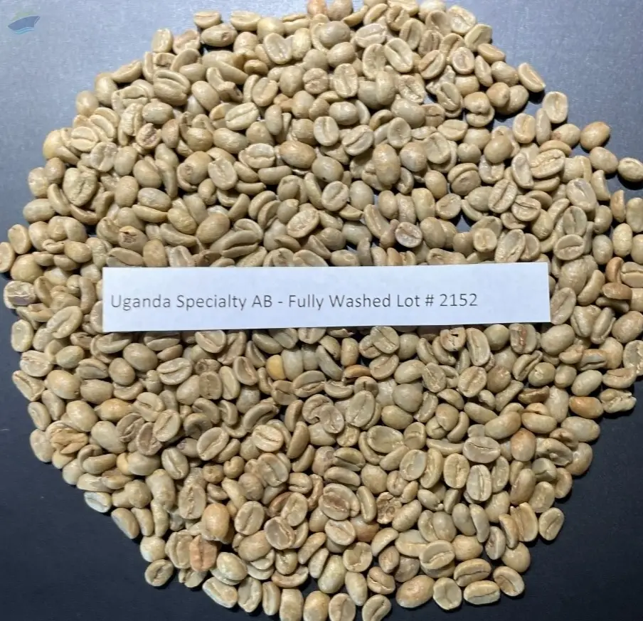 Green Coffee Beans