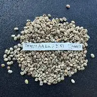 Green Coffee Beans