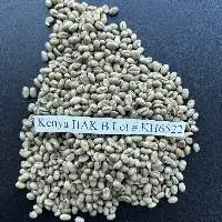 Green Coffee Beans