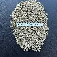 Green Coffee Beans