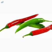 Chili Peppers