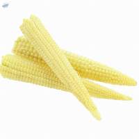Baby Corn