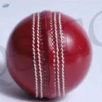 Cricket Leather Ball QSICO (CLB-07)