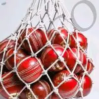 Ball Carrying Net QSICO CBSM-24T