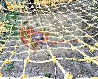 Commando Training Net QSICO
