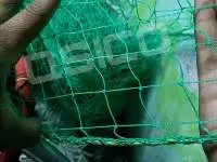Cricket Practice Net QSICO SM6B-1