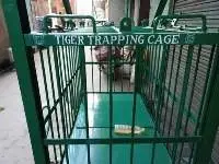 Tiger / Leopard Trapping Cage QSICO