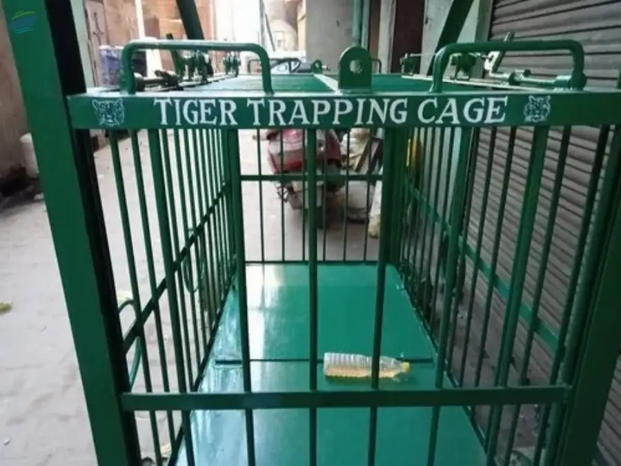 Tiger / Leopard Trapping Cage QSICO