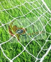 Plastic Anti Bird Netting