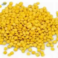 Whole Yellow Lentils
