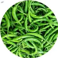 Chilli-G4