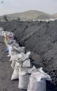 Coal