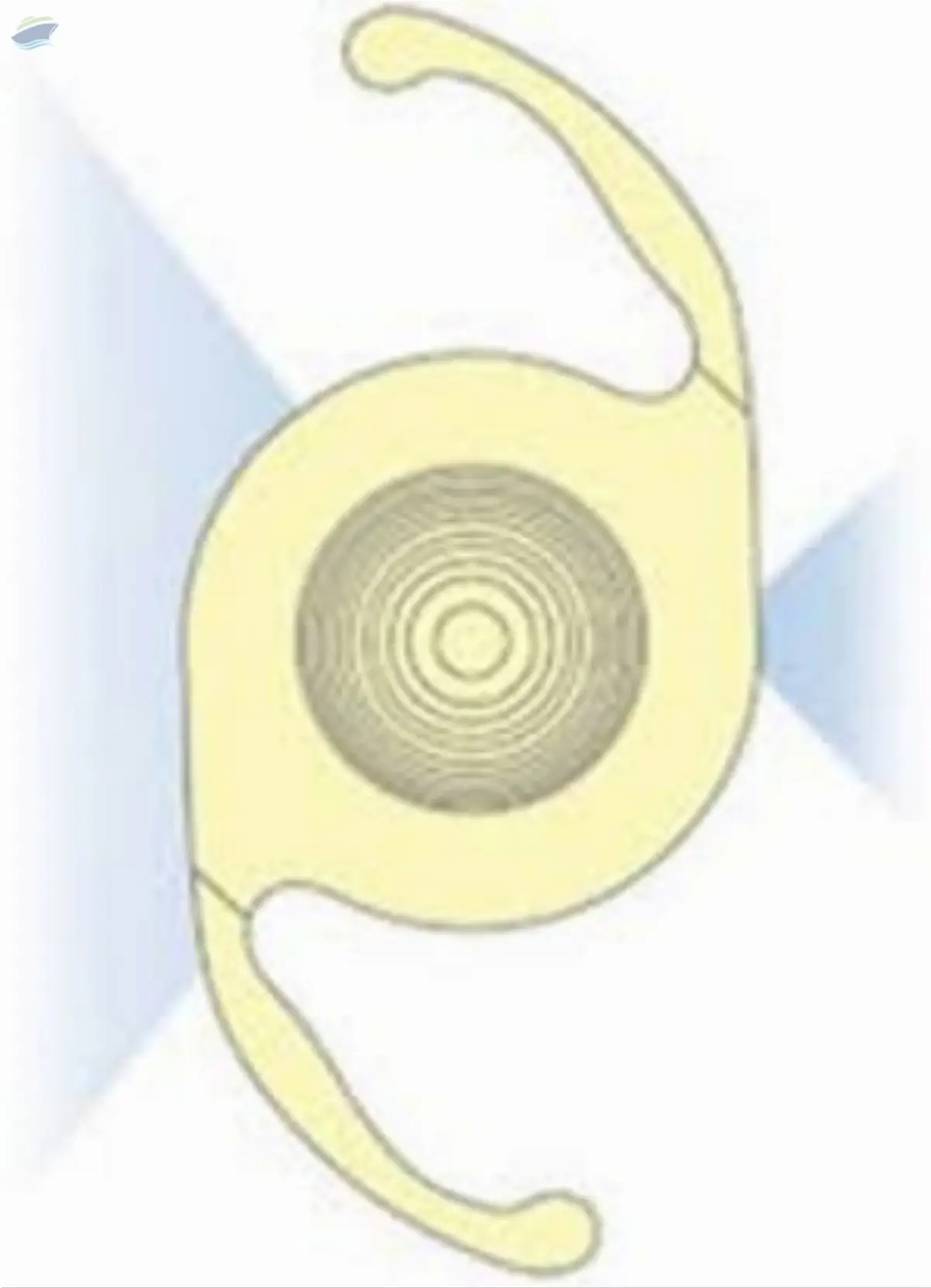 Multifocal Intraocular Lens