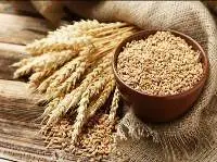 Wheat