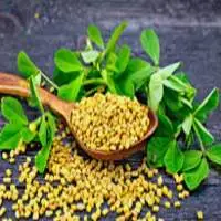 Fenugreek Seeds