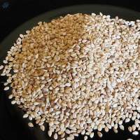 Sesame Seeds