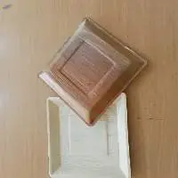 Square Plate