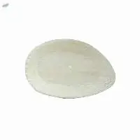 Oval Shape Plate
