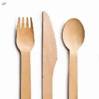 Disposable Cutlery
