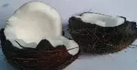 Semi Husked Matured Organic Coconut