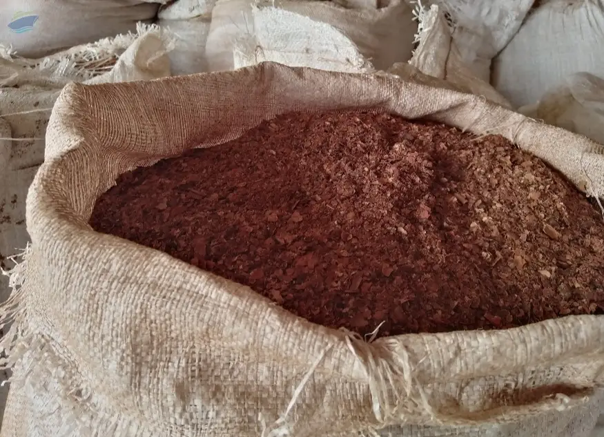 Cocoa Beans Shell