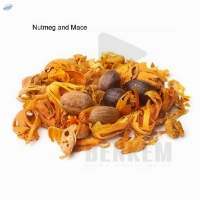 Nutmeg and Mace