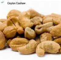 Ceylon Cashew