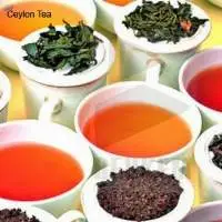 Ceylon Tea