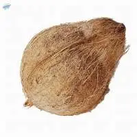 Semi Husked Coconut