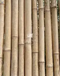 Aarush Sri Handicraft and Furniture
