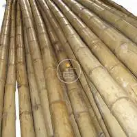 Bamboo Pole Natural White
