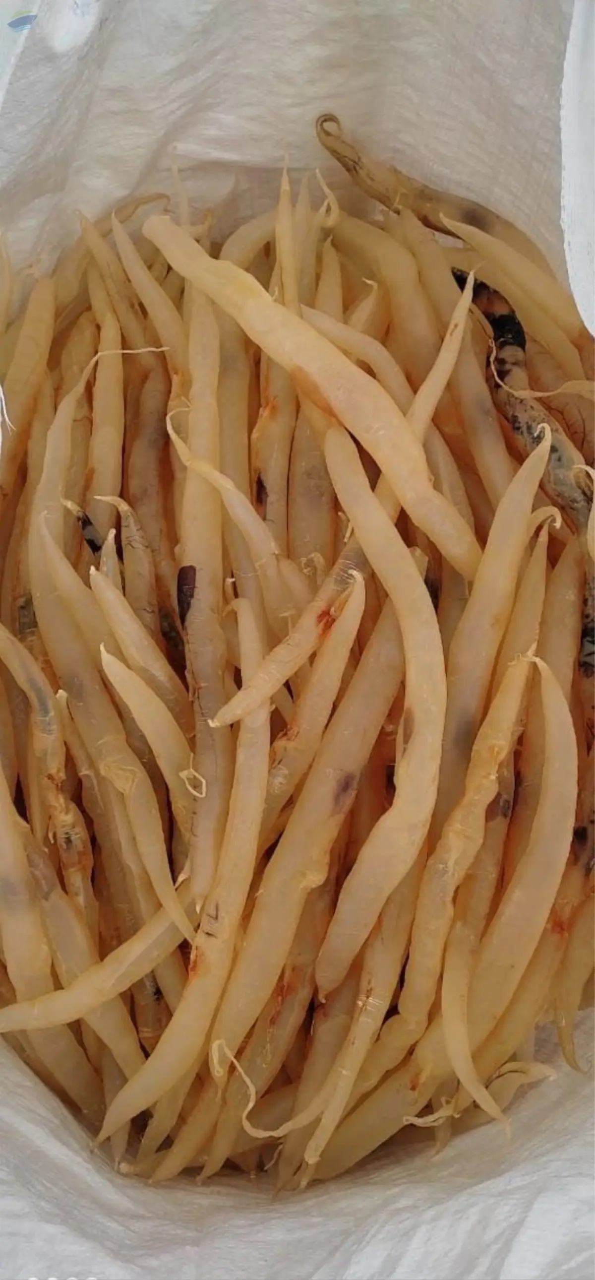 Dry Eel Fish by Ake Dry Sea Food. Supplier from India. Product Id 1596050.