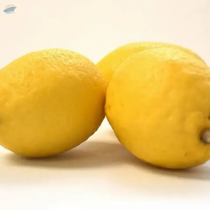 Wholesale Eureka Lemon Fresh Lemon