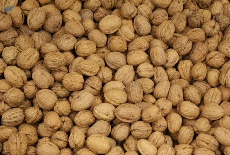 Franquette Walnuts