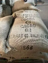 Cocoa Beans
