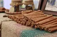 Stick Cassia