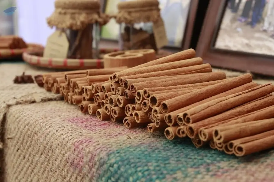 Stick Cassia