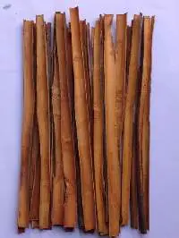 Split Cassia