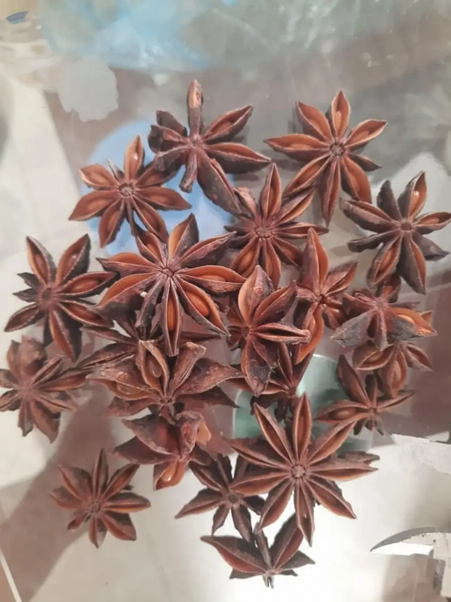 Star Anise Standard