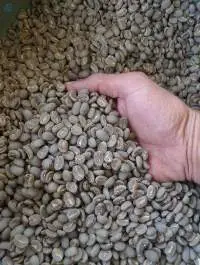 Coffee Beans Arabica Java Preanger