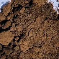 Palm kernel cake (expeller)